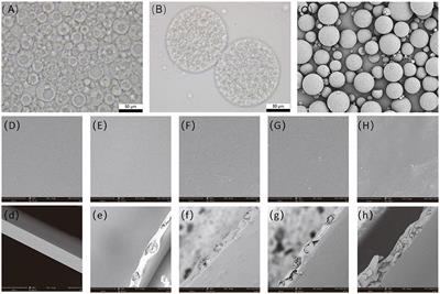 Polyvinyl alcohol film with chlorine dioxide microcapsules can be used for blueberry preservation by slow-release of chlorine dioxide gas